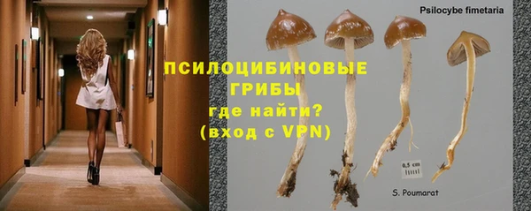 mdpv Верея