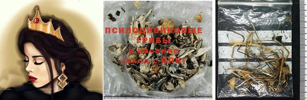 прущие крисы Волосово