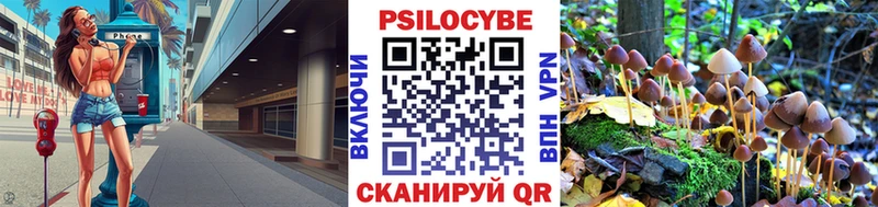 Псилоцибиновые грибы GOLDEN TEACHER  blacksprut как войти  Петрозаводск 