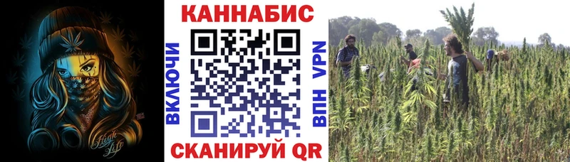 Канабис AK-47  сколько стоит  Петрозаводск 